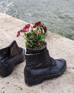 Boots with flowers planted in them