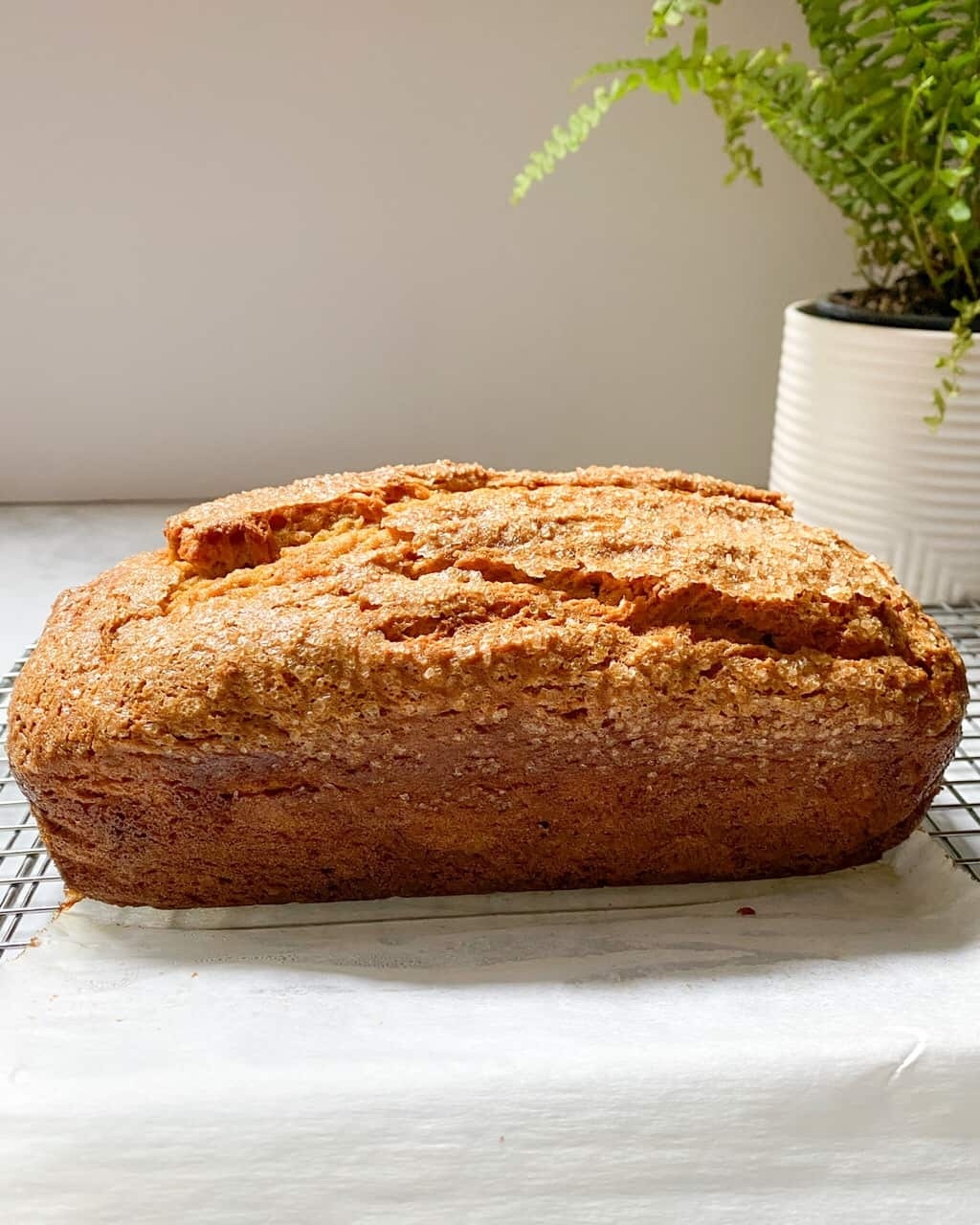 Loaf of Pumpkin Bread