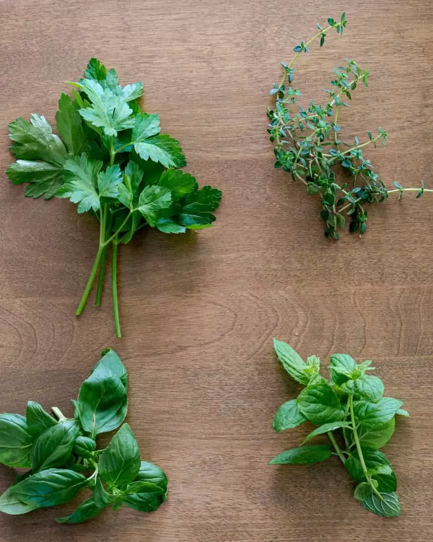 Herb varieties separated in a grid by type