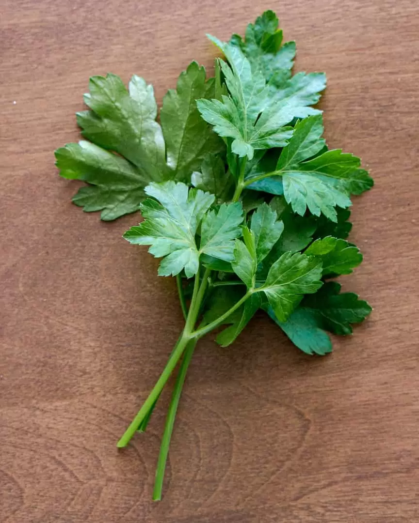 Fresh Bunch of Parsley