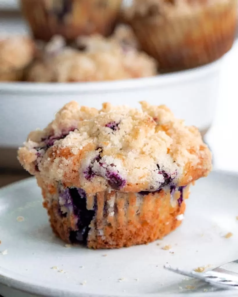 blueberry muffin on a plate