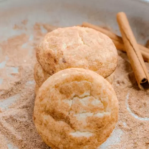 Snickerdoodle Cookies on a bed of cinnamon sugar with cinnamon sticks next to it.